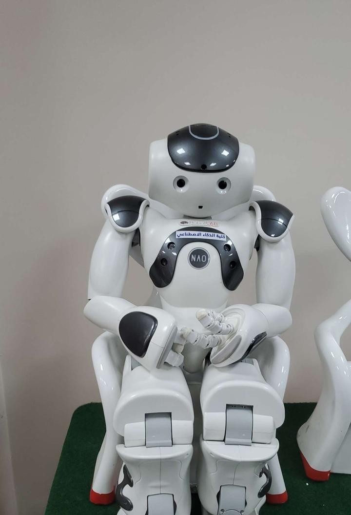 Mimic NAO